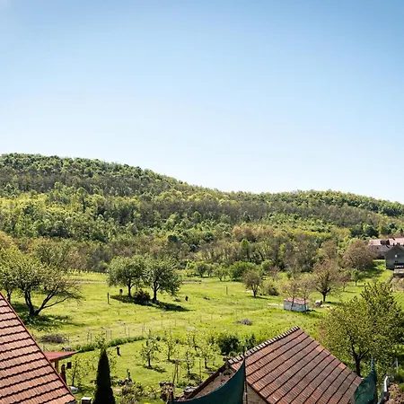 شقة Szigligeti Mandula Kert Vendeghaz زيغليجيت