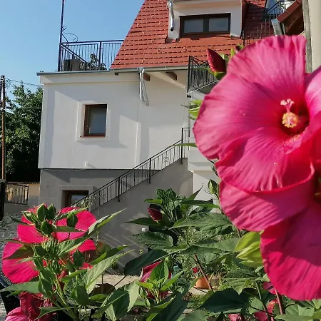 Szigligeti Mandula Kert Vendeghaz شقة زيغليجيت